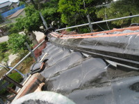 IMG_9835.JPG
