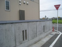 IMG_7561.jpg