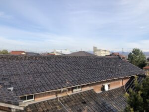 現地調査にて